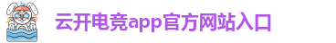 云开电竞app官方网站入口